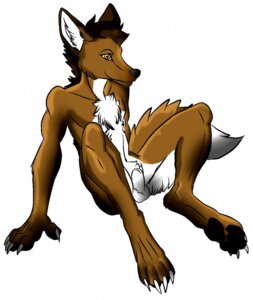 Rating: Explicit Score: 0 Tags: animal_genitalia anthro balls brown_eyes chest_tuft claws e621 feet fully_sheathed fur genitals hi_res hindpaw joskeban male paws sheath simple_background sitting smile solo tail tuft white_background User: bunchy7s