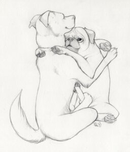 Rating: Explicit Score: 0 Tags: 2013 4_toes animal_genitalia animal_penis canid canine canine_genitalia canine_penis canis claws domestic_dog duo e621 erection feet feral foot_fetish foot_play footjob frottage fur genitals hi_res knot male male/male mammal molosser paper-wings pawpads penile penis penises_touching pug sex signature simple_background sketch small_molosser spread_legs spreading toe_claws toes toy_dog two-footed_footjob User: bunchy7s Rating: Explicit Score: 0 Tags: 2013 4_toes animal_genitalia animal_penis canid canine canine_genitalia canine_penis canis claws domestic_dog duo e621 erection feet feral foot_fetish foot_play footjob frottage fur genitals hi_res knot male male/male mammal molosser paper-wings pawpads penile penis penises_touching pug sex signature simple_background sketch small_molosser spread_legs spreading toe_claws toes toy_dog two-footed_footjob User: bunchy7s