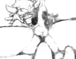 Rating: Explicit Score: 0 Tags: artist_request blurry bowser male male_only mario_(series) nintendo rule34 straight_hair tagme User: bunchy7s Rating: Explicit Score: 0 Tags: artist_request blurry bowser male male_only mario_(series) nintendo rule34 straight_hair tagme User: bunchy7s