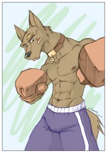 Rating: Safe Score: 0 Tags: abs anthro bottomwear boxing canid canine canis clothed clothing collar domestic_dog e621 male mammal muscular muscular_anthro muscular_male nipples pecs shorts solo sport tail topless wolver_mustang User: bunchy7s Rating: Safe Score: 0 Tags: abs anthro bottomwear boxing canid canine canis clothed clothing collar domestic_dog e621 male mammal muscular muscular_anthro muscular_male nipples pecs shorts solo sport tail topless wolver_mustang User: bunchy7s