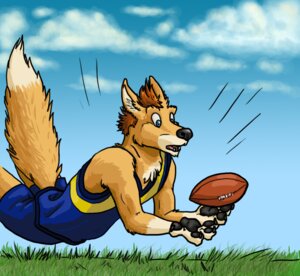Rating: Safe Score: 0 Tags: 2011 american_football andy_dingo_wolf anthro australian_rules_football black_pawpads blue_eyes bottomwear brown_body brown_fur brown_hair canid canine canis catch clothing digital_media_(artwork) dingo dipstick_tail e621 fallimar fur grass hair hybrid male mammal markings pawpads paws plant shorts simple_background solo sport tail tail_markings toony wolf wolingopaws User: bunchy7s