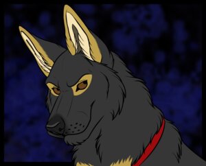 Rating: Safe Score: 0 Tags: canid canine canis domestic_dog e621 feral german_shepherd herding_dog male mammal pastoral_dog smaller_version_at_source solo star-gazer streetdog User: bunchy7s Rating: Safe Score: 0 Tags: canid canine canis domestic_dog e621 feral german_shepherd herding_dog male mammal pastoral_dog smaller_version_at_source solo star-gazer streetdog User: bunchy7s
