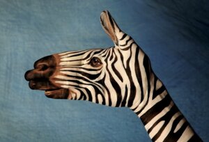 Rating: Safe Score: 0 Tags: ambiguous_gender bodypaint disembodied_hand e621 equid equine eyefuck grandfathered_content guido_daniele hand_shot human mammal real simple_background solo stripes surrealism what zebra User: bunchy7s Rating: Safe Score: 0 Tags: ambiguous_gender bodypaint disembodied_hand e621 equid equine eyefuck grandfathered_content guido_daniele hand_shot human mammal real simple_background solo stripes surrealism what zebra User: bunchy7s