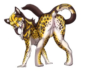 Rating: Explicit Score: 0 Tags: 2012 all_fours anus blue_eyes breasts busty_feral butt cheetah e621 felid feline female feral fur genitals heart_symbol leopard looking_back mammal nude one_eye_closed pantherine presenting presenting_hindquarters raised_tail semi-anthro shebeast simple_background solo tail tail_anus vulva wink User: bunchy7s
