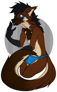 Rating: Questionable Score: 0 Tags: anthro baroque_(bzooks) black_hair black_nose black_tongue blue_eyes brown_body brown_fur bulge canid canine chest_tuft clothed clothing crossdressing e621 femboy fur hair hi_res male mammal maned_wolf octonnibal panties solo tongue tongue_out tuft underwear User: bunchy7s