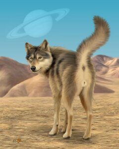 Rating: Explicit Score: 0 Tags: 4:5 anus butt canid canine canis detailed_background e621 ebon_lupus female feral fur genitals grey_body grey_fur hi_res looking_back mammal northwestern_wolf orange_eyes outside presenting presenting_hindquarters saturn_(planet) signature sky solo space standing tail vulva wolf User: bunchy7s Rating: Explicit Score: 0 Tags: 4:5 anus butt canid canine canis detailed_background e621 ebon_lupus female feral fur genitals grey_body grey_fur hi_res looking_back mammal northwestern_wolf orange_eyes outside presenting presenting_hindquarters saturn_(planet) signature sky solo space standing tail vulva wolf User: bunchy7s