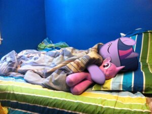 Rating: Safe Score: 0 Tags: 2011 4:3 bedding blanket daww duo e621 equid equine eyes_closed female feral friendship_is_magic fur hair hasbro horn long_hair mammal mixed_media mixermike622 multicolored_hair my_little_pony mythological_creature mythological_equine mythology photo_background photography_(artwork) pillow plushie purple_body purple_fur purple_hair real short_hair sleeping toony twilight_sparkle_(mlp) two_tone_hair unicorn User: bunchy7s Rating: Safe Score: 0 Tags: 2011 4:3 bedding blanket daww duo e621 equid equine eyes_closed female feral friendship_is_magic fur hair hasbro horn long_hair mammal mixed_media mixermike622 multicolored_hair my_little_pony mythological_creature mythological_equine mythology photo_background photography_(artwork) pillow plushie purple_body purple_fur purple_hair real short_hair sleeping toony twilight_sparkle_(mlp) two_tone_hair unicorn User: bunchy7s