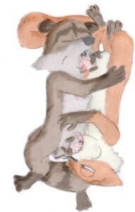 Rating: Explicit Score: 0 Tags: 2007 2boys 69 69_position anthro dreamworks duo fellatio furry gay hammy_(over_the_hedge) interspecies male male/male male_only mammal oral oral_sex over_the_hedge paramount_pictures raccoon rj_(over_the_hedge) rodent rule34 squirrel tagme yaoi User: bunchy7s