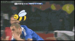 Rating: Safe Score: 0 Tags: animated animated_gif arthropod bee e621 feral grandfathered_content group human hymenopteran insect low_res male mammal real shopped short_playtime soccer sport third-party_edit unknown_artist User: bunchy7s