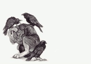 Rating: Safe Score: 0 Tags: 2011 4_toes 5_fingers anthro avian barefoot beak bird bloodhound_omega canid canine canis claws conditional_dnp corvid corvus_(genus) crouching crow detailed digitigrade e621 feathered_wings feathers feet feral fingers greyscale group hand_on_head looking_away male mammal monochrome nude on_top open_mouth oscine passerine perching raven side_view simple_background size_difference sketch tail tail_between_legs toes tongue white_background wings wolf wounded User: bunchy7s Rating: Safe Score: 0 Tags: 2011 4_toes 5_fingers anthro avian barefoot beak bird bloodhound_omega canid canine canis claws conditional_dnp corvid corvus_(genus) crouching crow detailed digitigrade e621 feathered_wings feathers feet feral fingers greyscale group hand_on_head looking_away male mammal monochrome nude on_top open_mouth oscine passerine perching raven side_view simple_background size_difference sketch tail tail_between_legs toes tongue white_background wings wolf wounded User: bunchy7s