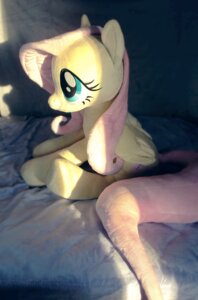 Rating: Safe Score: 0 Tags: 2014 blue_eyes buttercupbabyppg cutie_mark e621 equid equine feathered_wings feathers female fluttershy_(mlp) friendship_is_magic hair hasbro mammal my_little_pony mythological_creature mythological_equine mythology pegasus pink_hair plushie real sitting solo wings yellow_body yellow_feathers User: bunchy7s