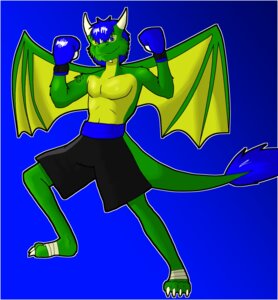 Rating: Safe Score: 0 Tags: 2014 anthro biceps biped blue_eyes blue_hair bottomwear boxing boxing_gloves clothed clothing dragon e621 flexing hair handwear hi_res horn hunter-husky lorenz_(freakyy-dragon) male membrane_(anatomy) membranous_wings muscular muscular_anthro muscular_male mythological_creature mythological_scalie mythology pants scalie solo sport standing tail topless wings User: bunchy7s