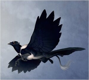 Rating: Safe Score: 0 Tags: 2013 ambiguous_gender avian beak bird caraid cloud corvid e621 eurasian_magpie feathered_wings feathers feral flying gryphon holarctic_magpie magpie_(corvid) mythological_avian mythological_creature mythology oscine outside passerine rictal_bristles sky skyscape solo tail wings User: bunchy7s Rating: Safe Score: 0 Tags: 2013 ambiguous_gender avian beak bird caraid cloud corvid e621 eurasian_magpie feathered_wings feathers feral flying gryphon holarctic_magpie magpie_(corvid) mythological_avian mythological_creature mythology oscine outside passerine rictal_bristles sky skyscape solo tail wings User: bunchy7s