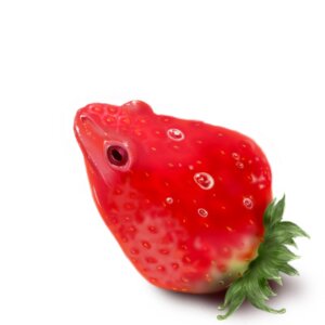 Rating: Safe Score: 0 Tags: 1:1 ambiguous_gender amphibian bubble displacement e621 elemental_creature flora_fauna food food_creature frog fruit grandfathered_content humor hybrid living_fruit low_res miremire plant poison_dart_frog pun simple_background solo strawberry strawberry_poison-dart_frog visual_pun what what_has_science_done white_background User: bunchy7s Rating: Safe Score: 0 Tags: 1:1 ambiguous_gender amphibian bubble displacement e621 elemental_creature flora_fauna food food_creature frog fruit grandfathered_content humor hybrid living_fruit low_res miremire plant poison_dart_frog pun simple_background solo strawberry strawberry_poison-dart_frog visual_pun what what_has_science_done white_background User: bunchy7s