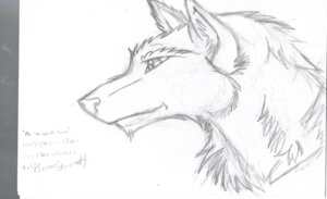 Rating: Safe Score: 0 Tags: 2011 canid canine canis dated e621 english_text graphite_(artwork) greyscale male mammal monochrome sketch smartpervert solo text traced traditional_media_(artwork) wolf User: bunchy7s Rating: Safe Score: 0 Tags: 2011 canid canine canis dated e621 english_text graphite_(artwork) greyscale male mammal monochrome sketch smartpervert solo text traced traditional_media_(artwork) wolf User: bunchy7s
