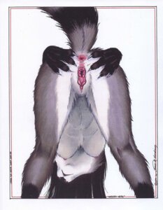 Rating: Explicit Score: 0 Tags: 2001 anthro anus bent_over black_fur claws female fur furry grey_fur james_m_hardiman mammal nude presenting pussy raccoon raised_tail rule34 solo spreading tail white_fur User: bunchy7s