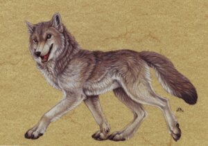 Rating: Safe Score: 0 Tags: 2009 black_claws black_nose bloodhound_omega brown_body brown_fur canid canine canis claws conditional_dnp detailed detailed_fur e621 female feral full-length_portrait fur grey_eyes looking_at_viewer mammal multicolored_body multicolored_fur northwestern_wolf open_mouth paws portrait side_view signature simple_background solo tail tan_body tan_fur teeth textured_background tongue two_tone_body two_tone_fur walking wolf User: bunchy7s Rating: Safe Score: 0 Tags: 2009 black_claws black_nose bloodhound_omega brown_body brown_fur canid canine canis claws conditional_dnp detailed detailed_fur e621 female feral full-length_portrait fur grey_eyes looking_at_viewer mammal multicolored_body multicolored_fur northwestern_wolf open_mouth paws portrait side_view signature simple_background solo tail tan_body tan_fur teeth textured_background tongue two_tone_body two_tone_fur walking wolf User: bunchy7s