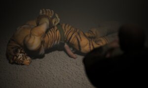 Rating: Explicit Score: 0 Tags: 3d_(artwork) abs animal_genitalia anthro army balls bdsm belt biceps big_muscles bodily_fluids bondage bound brown_body brown_skin clothing digital_media_(artwork) dog_tags dominant dominant_male duo e621 erection eye_contact felid fur genital_fluids genitals hands_behind_back hands_tied human humanoid_genitalia humanoid_penis inside interspecies iomar looking_at_another male male/male mammal muscular muscular_male nipples nude open_mouth pantherine pecs penis precum presenting restraints rope rope_bondage sheath stripes submissive submissive_male tiger yellow_body yellow_fur User: bunchy7s Rating: Explicit Score: 0 Tags: 3d_(artwork) abs animal_genitalia anthro army balls bdsm belt biceps big_muscles bodily_fluids bondage bound brown_body brown_skin clothing digital_media_(artwork) dog_tags dominant dominant_male duo e621 erection eye_contact felid fur genital_fluids genitals hands_behind_back hands_tied human humanoid_genitalia humanoid_penis inside interspecies iomar looking_at_another male male/male mammal muscular muscular_male nipples nude open_mouth pantherine pecs penis precum presenting restraints rope rope_bondage sheath stripes submissive submissive_male tiger yellow_body yellow_fur User: bunchy7s