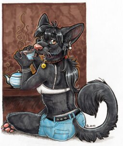 Rating: Safe Score: 0 Tags: 2010 bell beverage black_body black_fur bottomwear bra clothed clothing collar denim denim_clothing e621 ear_piercing female food fur hair hybrid looking_at_viewer looking_back neraya piercing ponytail shorts sitting skimpy solo tail tea tomboy underwear whiskers User: bunchy7s