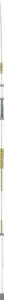 Rating: Explicit Score: 0 Tags: anthro clothes color cum fur furry handjob male male_only masturbation nintendo nude penis pikachu pokemon rule34 solo tagme tyson-and-tom User: bunchy7s