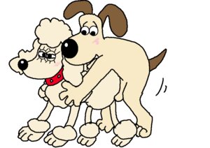 Rating: Explicit Score: 0 Tags: aardman_animations female feral fluffles_(wallace_and_gromit) gromit rule34 tagme wallace_and_gromit User: bunchy7s