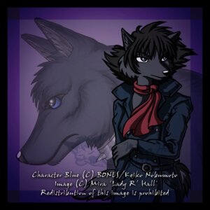 Rating: Safe Score: 0 Tags: 1:1 anthro anthrofied black_border blue_(wolf's_rain) blue_eyes border canid canine canis collar e621 female looking_away mammal mira_hall mythological_canine mythological_creature mythology scarf solo tail werecanid werecanine werecreature werewolf wolf wolf's_rain User: bunchy7s