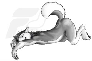 Rating: Questionable Score: 0 Tags: anthro ass_up biped canid canine canis domestic_dog e621 eyes_closed fluke fur grey_body grey_fur greyscale husky lying male mammal monochrome nordic_sled_dog nude pawpads paws raised_tail simple_background sleeping solo spitz tail watermark white_background white_body white_fur User: bunchy7s Rating: Questionable Score: 0 Tags: anthro ass_up biped canid canine canis domestic_dog e621 eyes_closed fluke fur grey_body grey_fur greyscale husky lying male mammal monochrome nordic_sled_dog nude pawpads paws raised_tail simple_background sleeping solo spitz tail watermark white_background white_body white_fur User: bunchy7s