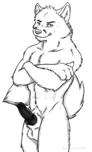 Rating: Explicit Score: 0 Tags: 2009 animal_genitalia animal_penis anthro arctic_fox balls biped black_penis canid canine canine_genitalia canine_penis e621 erection fox genitals greyscale knot male mammal monochrome penis quez simple_background solo standing tail true_fox vexedlupine white_background User: bunchy7s