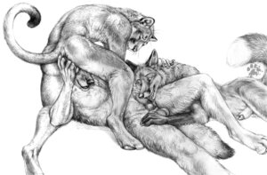 Rating: Explicit Score: 0 Tags: 2012 anal anal_fingering animal_genitalia animal_penis anthro anthro_fingered anthro_fingering anthro_fingering_anthro anthro_on_anthro balls black_nose blotch canid canine canine_genitalia canine_penis canis cougar e621 erection feet felid feline fellatio fingering flaccid fox fur genitals group group_sex hindpaw interspecies knot knot_lick licking lying male male/male male_fingering_male male_penetrated male_penetrating male_penetrating_male mammal monochrome nude on_back on_side open_mouth oral paws penetration penile penis penis_lick penis_tip plantigrade red_fox scratches_volume_6 sex sheath simple_background sketch tail threesome tongue tongue_out traditional_media_(artwork) trio true_fox whiskers white_background wolf User: bunchy7s Rating: Explicit Score: 0 Tags: 2012 anal anal_fingering animal_genitalia animal_penis anthro anthro_fingered anthro_fingering anthro_fingering_anthro anthro_on_anthro balls black_nose blotch canid canine canine_genitalia canine_penis canis cougar e621 erection feet felid feline fellatio fingering flaccid fox fur genitals group group_sex hindpaw interspecies knot knot_lick licking lying male male/male male_fingering_male male_penetrated male_penetrating male_penetrating_male mammal monochrome nude on_back on_side open_mouth oral paws penetration penile penis penis_lick penis_tip plantigrade red_fox scratches_volume_6 sex sheath simple_background sketch tail threesome tongue tongue_out traditional_media_(artwork) trio true_fox whiskers white_background wolf User: bunchy7s