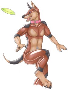 Rating: Questionable Score: 0 Tags: 2011 animate_inanimate anthro biped canid canine canis collar dobermann domestic_dog e621 frisbee inflatable jumping korrok latex living_inflatable makks male mammal nozzle open_mouth paws pinscher plastic simple_background solo tail white_background User: bunchy7s Rating: Questionable Score: 0 Tags: 2011 animate_inanimate anthro biped canid canine canis collar dobermann domestic_dog e621 frisbee inflatable jumping korrok latex living_inflatable makks male mammal nozzle open_mouth paws pinscher plastic simple_background solo tail white_background User: bunchy7s