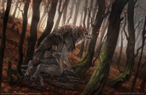 Rating: Safe Score: 0 Tags: 2013 4_toes all_fours ambiguous_gender autumn balaa black_nose brown_body brown_fur canid canine canis claws detailed detailed_background detailed_fur e621 feet feral forest fur leaf mammal mythological_canine mythological_creature mythology nature nude outside pawpads paws plant solo toe_claws toes tree werecanid werecanine werecreature werewolf wolf User: bunchy7s