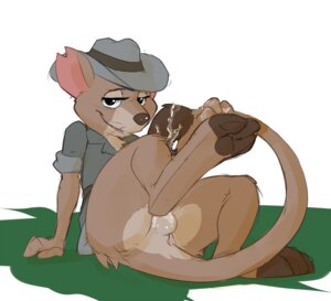 Rating: Explicit Score: 0 Tags: 2012 3_toes anthro anus balls bodily_fluids bottomless brown_body brown_fur butt clothed clothing cum cum_on_balls cum_on_tail digital_media_(artwork) dipodomyine disney e621 feet fur genital_fluids genitals grass hat headgear headwear heteromyid jake_(the_rescuers) kangaroo_mouse looking_at_viewer male mammal masturbation outside plant rodent seth-iova shirt simple_background solo tail the_rescuers_(disney) the_rescuers_down_under toes topwear whiskers white_background User: bunchy7s Rating: Explicit Score: 0 Tags: 2012 3_toes anthro anus balls bodily_fluids bottomless brown_body brown_fur butt clothed clothing cum cum_on_balls cum_on_tail digital_media_(artwork) dipodomyine disney e621 feet fur genital_fluids genitals grass hat headgear headwear heteromyid jake_(the_rescuers) kangaroo_mouse looking_at_viewer male mammal masturbation outside plant rodent seth-iova shirt simple_background solo tail the_rescuers_(disney) the_rescuers_down_under toes topwear whiskers white_background User: bunchy7s