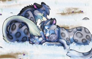Rating: Safe Score: 0 Tags: ambiguous_gender e621 family felid female feral good_parenting group leopard_spots licking love male mammal neonate outside pantherine playful pupspace quadruped simple_background size_difference snow snow_leopard spots tail tongue tongue_bath tongue_out young young_ambiguous young_feral User: bunchy7s Rating: Safe Score: 0 Tags: ambiguous_gender e621 family felid female feral good_parenting group leopard_spots licking love male mammal neonate outside pantherine playful pupspace quadruped simple_background size_difference snow snow_leopard spots tail tongue tongue_bath tongue_out young young_ambiguous young_feral User: bunchy7s