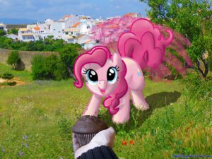 Rating: Safe Score: 0 Tags: 4:3 blue_eyes cloud cutie_mark deathpwny duo e621 earth_pony equid equine female feral flower food friendship_is_magic fur grass hair hasbro hi_res horse looking_at_viewer mammal mixed_media muffin my_little_pony outside photo_background photography_(artwork) pink_body pink_fur pink_hair pinkie_pie_(mlp) plant pony quadruped real sky solo_focus tail toony tree wood User: bunchy7s Rating: Safe Score: 0 Tags: 4:3 blue_eyes cloud cutie_mark deathpwny duo e621 earth_pony equid equine female feral flower food friendship_is_magic fur grass hair hasbro hi_res horse looking_at_viewer mammal mixed_media muffin my_little_pony outside photo_background photography_(artwork) pink_body pink_fur pink_hair pinkie_pie_(mlp) plant pony quadruped real sky solo_focus tail toony tree wood User: bunchy7s