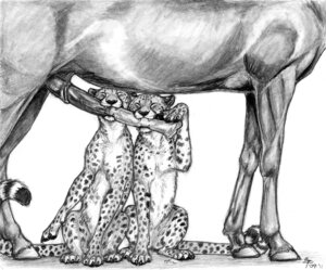 Rating: Explicit Score: 0 Tags: ambiguous_gender anatomically_correct anatomically_correct_genitalia anatomically_correct_penis animal_genitalia animal_penis bite bodily_fluids cheetah claws cum e621 ebonytigress equid equine equine_genitalia equine_penis erection eyes_closed fangs felid feline fellatio feral genital_danger_play genital_fluids genitals graphite_(artwork) group happy hooves horse interspecies larger_male male mammal monochrome oral penile penis penis_bite predator/prey sex sitting size_difference smile spots standing tail teeth traditional_media_(artwork) trusting User: bunchy7s Rating: Explicit Score: 0 Tags: ambiguous_gender anatomically_correct anatomically_correct_genitalia anatomically_correct_penis animal_genitalia animal_penis bite bodily_fluids cheetah claws cum e621 ebonytigress equid equine equine_genitalia equine_penis erection eyes_closed fangs felid feline fellatio feral genital_danger_play genital_fluids genitals graphite_(artwork) group happy hooves horse interspecies larger_male male mammal monochrome oral penile penis penis_bite predator/prey sex sitting size_difference smile spots standing tail teeth traditional_media_(artwork) trusting User: bunchy7s