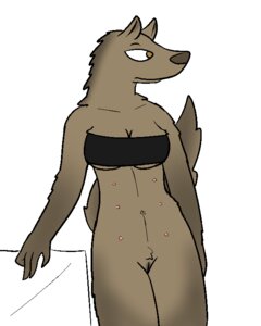 Rating: Explicit Score: 0 Tags: 2014 4:5 aliasing anthro bottomless breasts brown_eyes canid canine cleavage clothed clothing digital_media_(artwork) e621 female fur genitals mammal multi_nipple nipples simple_background skimpy solo trout_(artist) under_boob underwear vulva User: bunchy7s