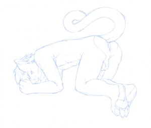Rating: Explicit Score: 0 Tags: all_fours anthro anus avendrel backsack balls blue_and_white butt digital_drawing_(artwork) digital_media_(artwork) domestic_cat e621 erection felid feline felis genitals line_art looking_at_viewer looking_back male mammal monochrome nude paws penis raised_tail redrusker simple_background sketch solo tail unfinished white_background User: bunchy7s