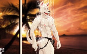 Rating: Explicit Score: 0 Tags: 16:10 2010 abs anthro anubian_jackal beach biceps big_muscles biped black_nose bulge canid canine canis clothed clothing cloud e621 fabfelipe fangs fur jackal jockstrap male mammal muscular muscular_anthro muscular_male nipples open_mouth outside pecs pose red_eyes seaside shower silverjackal sky solo standing sunset teeth tongue topless underwear wet white_body white_fur widescreen User: bunchy7s Rating: Explicit Score: 0 Tags: 16:10 2010 abs anthro anubian_jackal beach biceps big_muscles biped black_nose bulge canid canine canis clothed clothing cloud e621 fabfelipe fangs fur jackal jockstrap male mammal muscular muscular_anthro muscular_male nipples open_mouth outside pecs pose red_eyes seaside shower silverjackal sky solo standing sunset teeth tongue topless underwear wet white_body white_fur widescreen User: bunchy7s