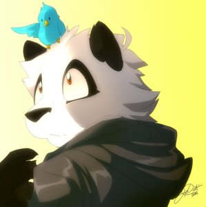 Rating: Safe Score: 0 Tags: 2010 ambiguous_gender anthro avian beak bear bird black_body black_fur black_nose blue_body blue_feathers carrying_another cel_shading claws clothed clothing duo e621 feathers fur giant_panda hoodie male mammal nude on_head orange_eyes shaded size_difference super-tuler tairu topwear white_body white_fur User: bunchy7s