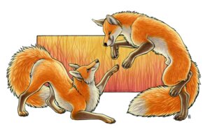 Rating: Explicit Score: 0 Tags: 2012 4_toes animal_genitalia black_nose blue_eyes brown_body brown_fur canid canine casual_nudity claws detailed digitigrade dipstick_tail duo e621 feet feral fluffy fluffy_tail fox fully_sheathed fur genitals green_eyes looking_at_another male mammal markings multicolored_tail nude open_mouth open_smile orange_body orange_fur sheath shinigamigirl side_view smile tail tail_markings toeless_(marking) toes white_body white_fur User: bunchy7s