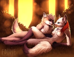 Rating: Safe Score: 0 Tags: 2012 anthro blue_eyes breasts canid canine detailed_background digital_media_(artwork) digital_painting_(artwork) duo e621 falvie featureless_breasts female jewelry male male/female mammal nature necklace nude outside painting_(artwork) romantic romantic_ambiance romantic_couple tail wolftale User: bunchy7s Rating: Safe Score: 0 Tags: 2012 anthro blue_eyes breasts canid canine detailed_background digital_media_(artwork) digital_painting_(artwork) duo e621 falvie featureless_breasts female jewelry male male/female mammal nature necklace nude outside painting_(artwork) romantic romantic_ambiance romantic_couple tail wolftale User: bunchy7s