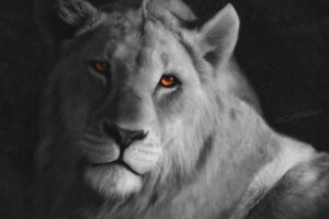Rating: Safe Score: 0 Tags: 2011 ambiguous_gender black_nose brown_eyes detailed e621 felid feral lion mammal monochrome painting_(artwork) pantherine photorealism realistic solo traditional_media_(artwork) zensou User: bunchy7s