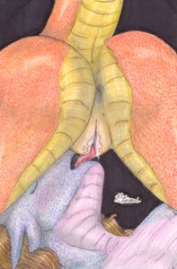 Rating: Explicit Score: 0 Tags: ambiguous_gender anthro anus blonde_hair blue_body blue_scales blush bodily_fluids butt cunnilingus dragon duo e621 eyes_closed female female/ambiguous female_(lore) genital_fluids genitals hair mythological_creature mythological_scalie mythology nude oral orange_body orange_scales paul_lucas purple_background scales scalie sex simple_background tail tongue tongue_out traditional_media_(artwork) vaginal vaginal_fluids vulva User: bunchy7s