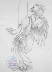 Rating: Explicit Score: 0 Tags: 2010 anthro avian bdsm beak bird bondage bound collar curiodraco e621 female genitals greyscale monochrome nude raised_leg sketch solo spread_legs spreading submissive submissive_female vulva User: bunchy7s Rating: Explicit Score: 0 Tags: 2010 anthro avian bdsm beak bird bondage bound collar curiodraco e621 female genitals greyscale monochrome nude raised_leg sketch solo spread_legs spreading submissive submissive_female vulva User: bunchy7s