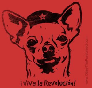 Rating: Safe Score: 0 Tags: ambiguous_gender canid canine canis che_guevara chihuahua clothing domestic_dog e621 footprint graffiti hat headgear headshot_portrait headwear looking_at_viewer low_res mammal pawprint portrait red_background simple_background solo text toy_dog unknown_artist url User: bunchy7s Rating: Safe Score: 0 Tags: ambiguous_gender canid canine canis che_guevara chihuahua clothing domestic_dog e621 footprint graffiti hat headgear headshot_portrait headwear looking_at_viewer low_res mammal pawprint portrait red_background simple_background solo text toy_dog unknown_artist url User: bunchy7s