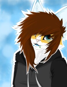 Rating: Safe Score: 0 Tags: anthro blue_background blue_eyes blue_tongue brown_hair canid canine clothing clothing_cord digital_media_(artwork) domestic_cat drawstring drawstring_topwear e621 facial_markings facial_piercing felid feline felis female fox hair hair_over_eye happy head_markings head_tilt hoodie lexii_(artist) lexii_(lexii) lip_piercing mammal markings one_eye_obstructed piercing simple_background smile snakebite_piercing solo tongue topwear young young_anthro young_female User: bunchy7s