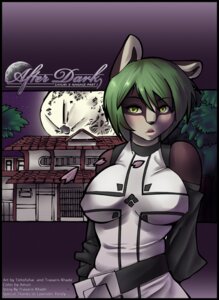 Rating: Questionable Score: 0 Tags: after_dark_(comic) anthro badger black_border border breasts cover cover_art cover_page digital_media_(artwork) e621 erunroe female green_hair hair mammal mustelid musteline nanase outside solo theblackrook User: bunchy7s