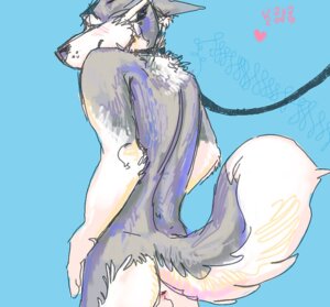 Rating: Explicit Score: 0 Tags: anthro anus canid canine canis collar domestic_dog e621 husky java leash male mammal mudshark nordic_sled_dog solo spitz tail User: bunchy7s Rating: Explicit Score: 0 Tags: anthro anus canid canine canis collar domestic_dog e621 husky java leash male mammal mudshark nordic_sled_dog solo spitz tail User: bunchy7s