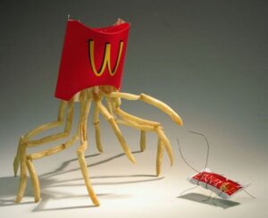 Rating: Safe Score: 0 Tags: ambiguous_gender arachnid arthropod duo e621 feral food food_creature fries full-length_portrait grandfathered_content insect ketchup mcdonald's multi_leg multi_limb not_furry photography_(artwork) portrait spider unknown_artist User: bunchy7s