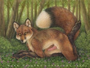 Rating: Explicit Score: 0 Tags: 2009 animal_genitalia animal_penis anthro canid canine canine_genitalia canine_penis dark_natasha detailed_background e621 erection forest fox fur genitals hair knot looking_at_viewer male mammal mane nature outside penis plant semi-anthro signature smile solo tail tree wood yellow_eyes User: bunchy7s Rating: Explicit Score: 0 Tags: 2009 animal_genitalia animal_penis anthro canid canine canine_genitalia canine_penis dark_natasha detailed_background e621 erection forest fox fur genitals hair knot looking_at_viewer male mammal mane nature outside penis plant semi-anthro signature smile solo tail tree wood yellow_eyes User: bunchy7s